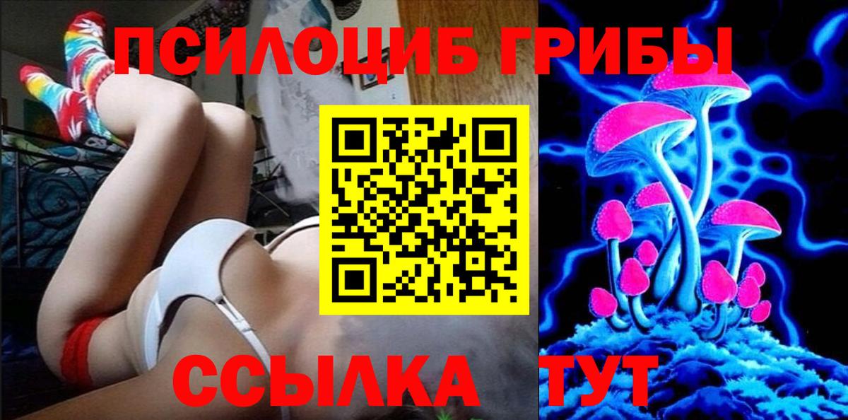 Галлюциногенные грибы Psilocybe Ухта